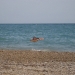 IMG_3219.JPG
