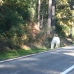 IMG_5215.JPG