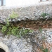 IMG_5233.JPG