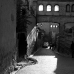 IMG_5004.JPG