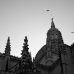 IMG_5006.JPG