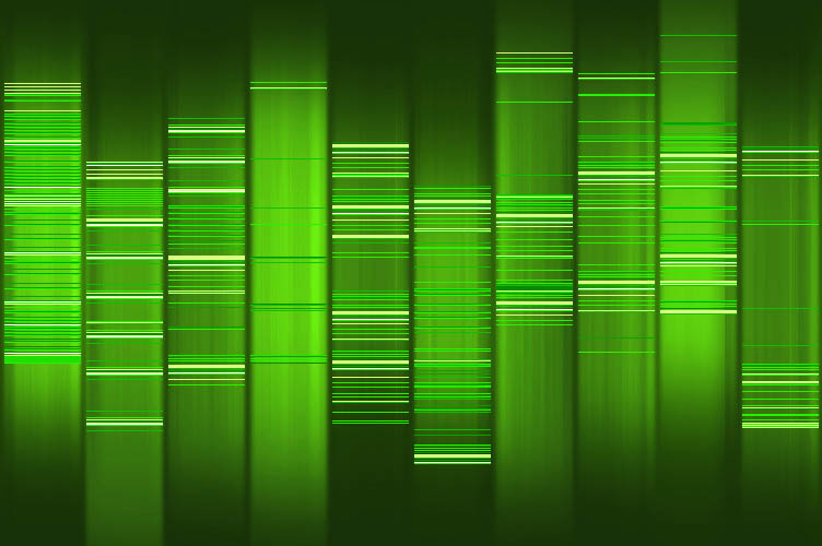 Volkersfreunde.de DNA Volkersfreunde.de DNA